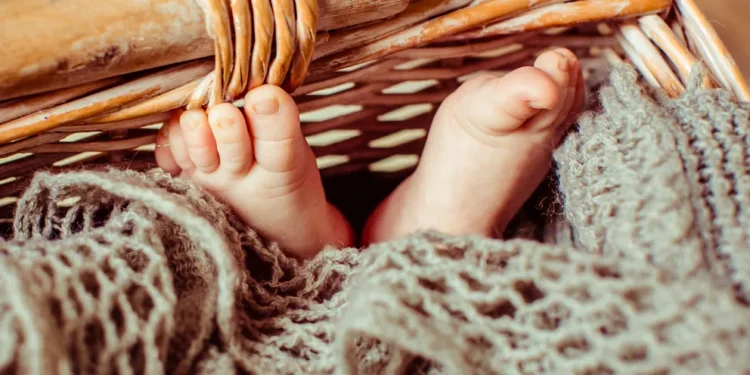 Feet of a baby lying in a basket | Source: Freepik